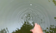 卖北大未名湖湖水，500毫升最高标价近百元！网友：买家交智商税