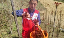 驻村干部乔黎明：与大山为伴 书写驻村帮扶新一页