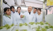 我国科学家研究证明植物叶片可吸收积累大气微塑料