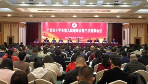 广西红十字会第九届理事会第三次会议在南宁召开